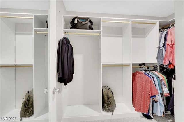 view of walk in closet