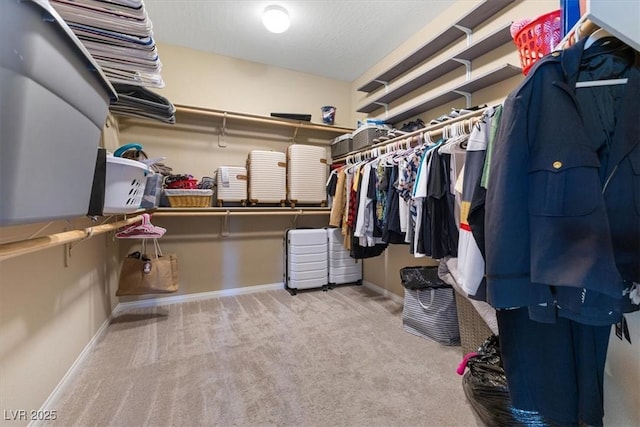 spacious closet with carpet flooring