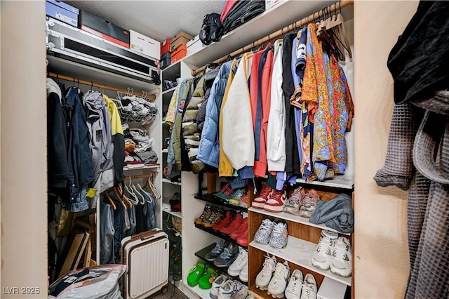 view of walk in closet