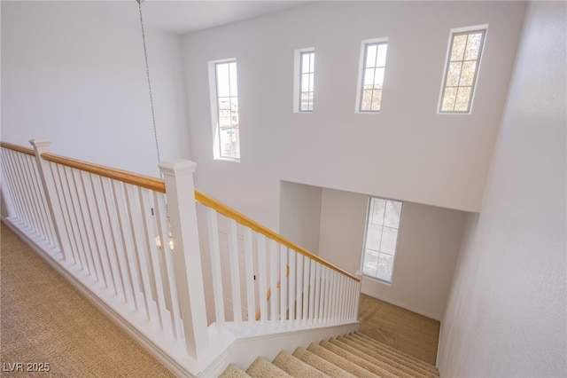 stairway with carpet flooring