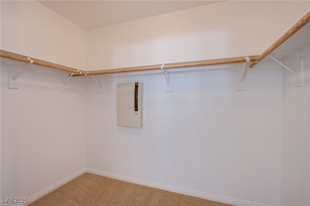 spacious closet with light carpet