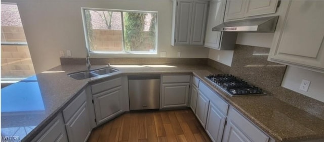 kitchen featuring dark wood-style floors, range hood, stainless steel appliances, and a sink