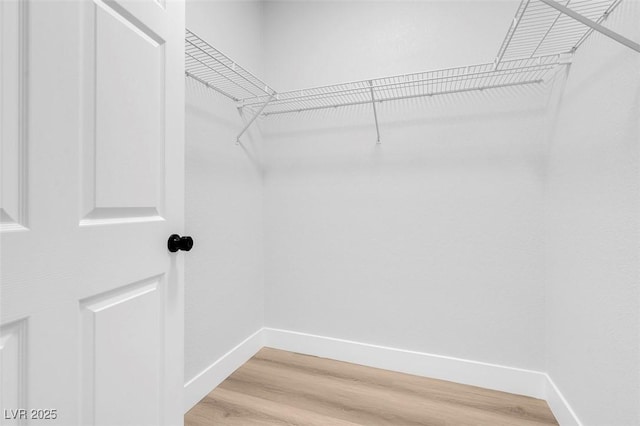 walk in closet with light wood-type flooring