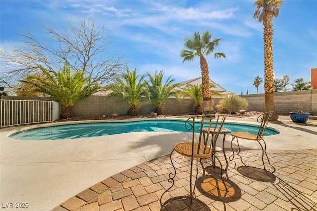 view of pool with a fenced in pool, a fenced backyard, and a patio area