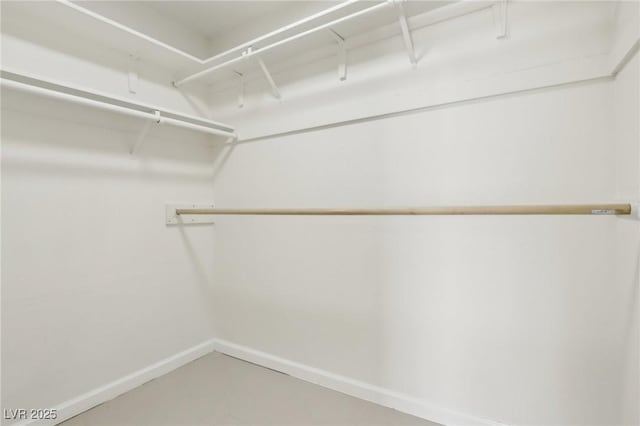 view of walk in closet