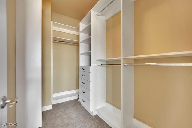 spacious closet with carpet flooring