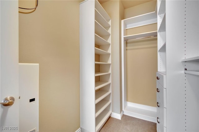 view of spacious closet