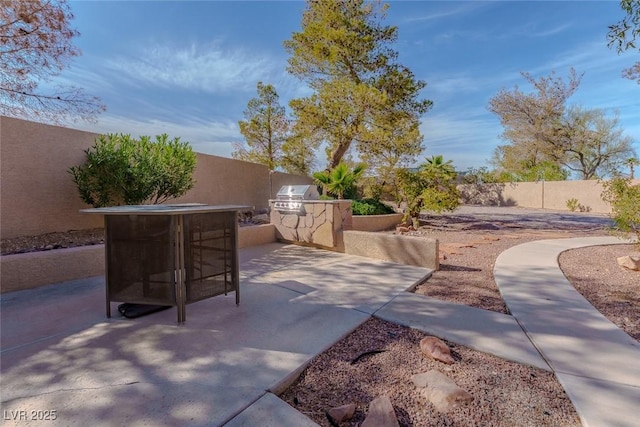 view of patio / terrace featuring exterior kitchen, a fenced backyard, and a grill