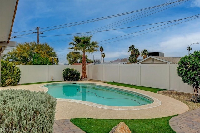 view of pool with a patio area, a fenced backyard, and a fenced in pool