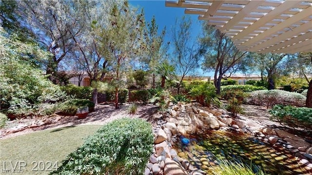 view of yard with a pergola