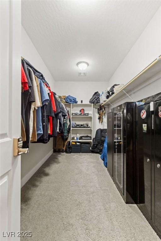 walk in closet featuring carpet floors