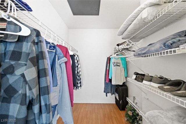 walk in closet with wood finished floors