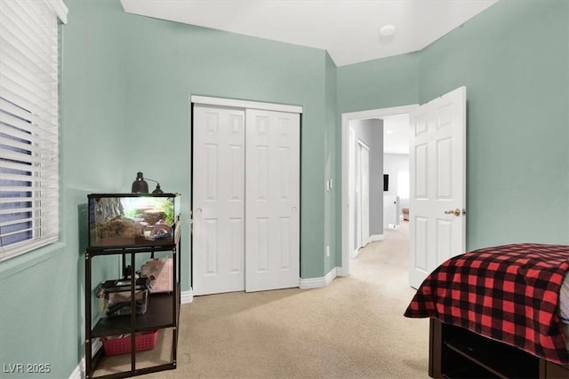 living area featuring baseboards and carpet flooring