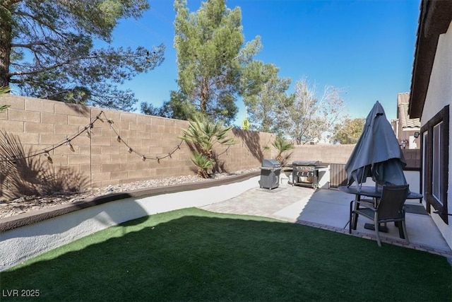 view of yard with a patio and a fenced backyard