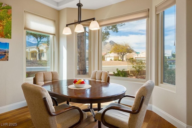 dining space featuring wood finished floors, baseboards, and a healthy amount of sunlight