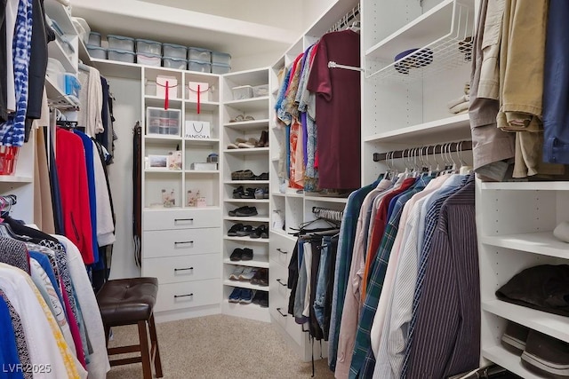 walk in closet with carpet flooring
