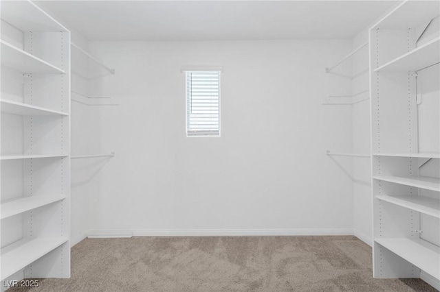 12367 Indigo Montage Rd Unit 3, Las Vegas, NV 89183 - walk in closet featuring carpet floors