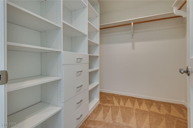 spacious closet featuring light carpet