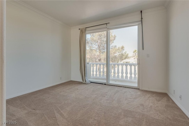 carpeted spare room with crown molding and baseboards