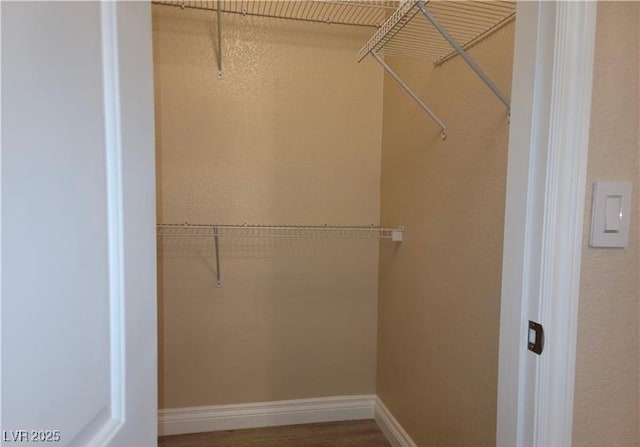 spacious closet featuring wood finished floors