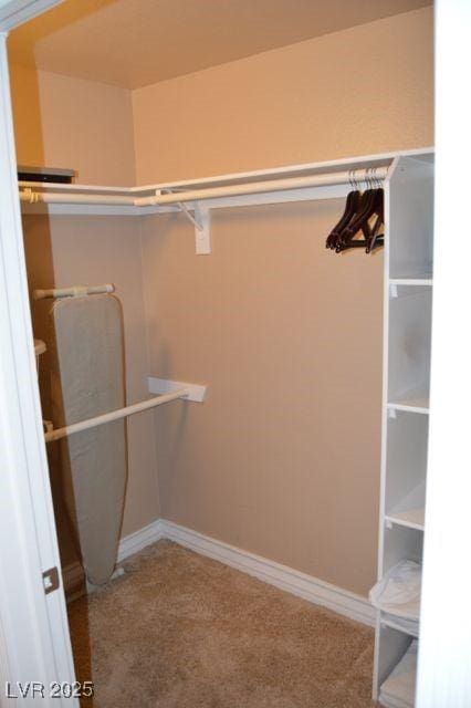 walk in closet featuring carpet flooring