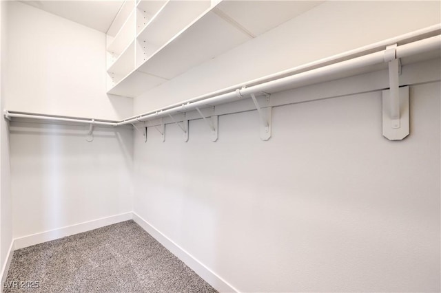 spacious closet featuring carpet floors