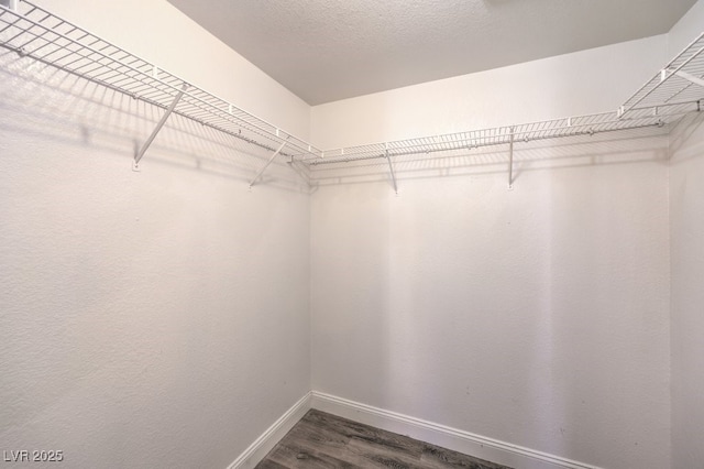 walk in closet with wood finished floors