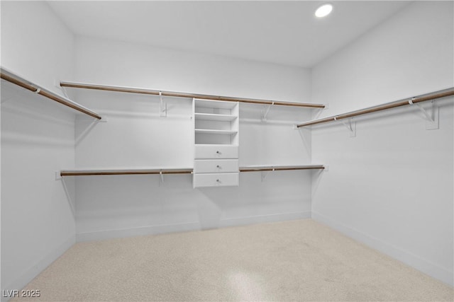 walk in closet with carpet flooring