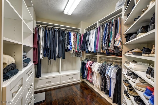 walk in closet featuring dark wood finished floors