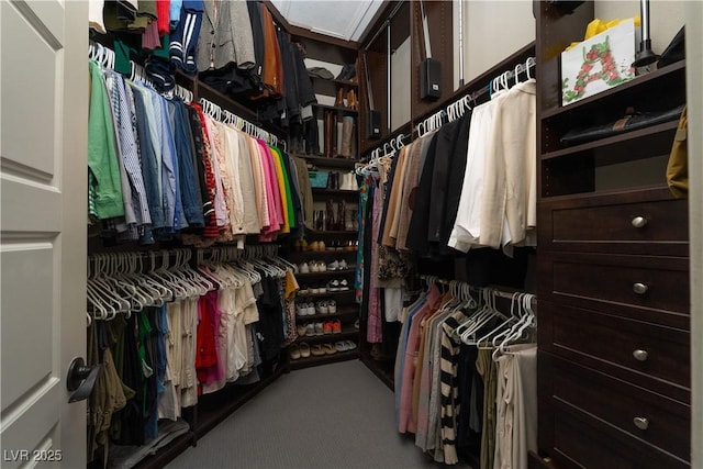 walk in closet featuring carpet