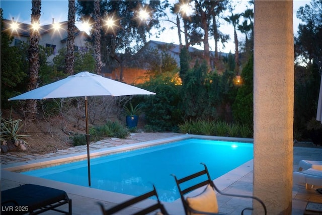 pool with a patio area