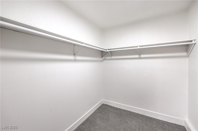 spacious closet with dark carpet