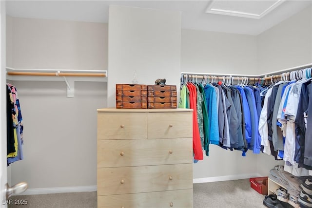 spacious closet with attic access and carpet flooring