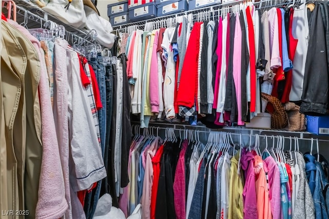 view of spacious closet