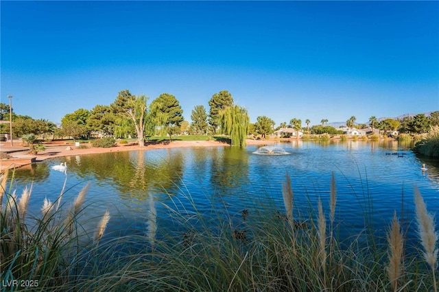 view of water feature