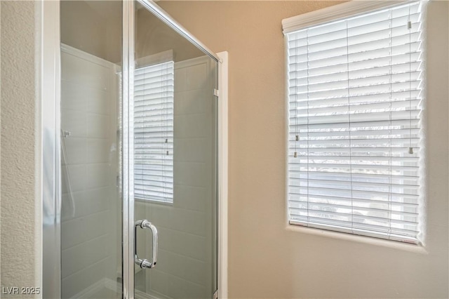 bathroom featuring a shower stall