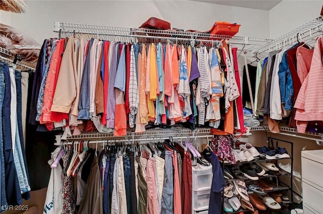 view of spacious closet