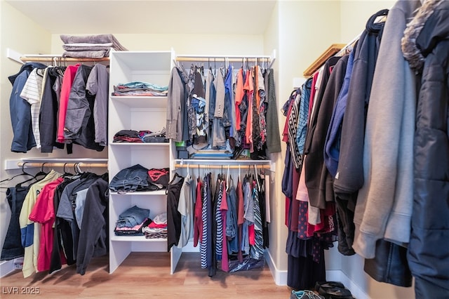 spacious closet featuring wood finished floors