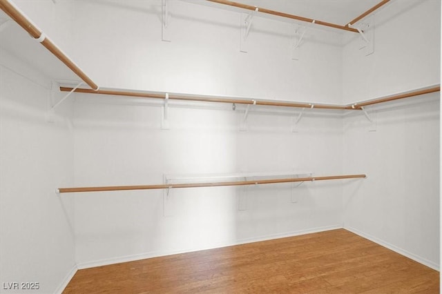 walk in closet featuring wood finished floors