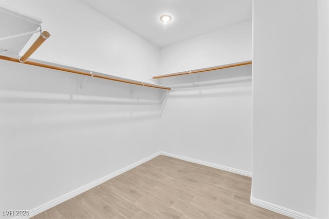 walk in closet featuring wood finished floors