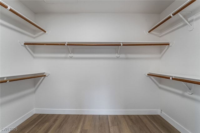 spacious closet featuring wood finished floors