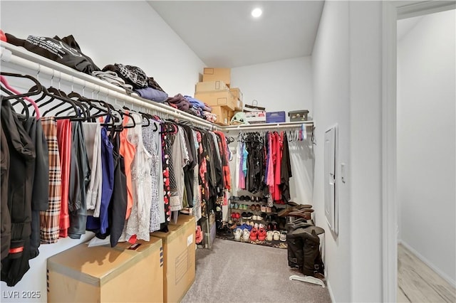 spacious closet with carpet