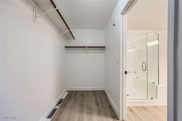 spacious closet with wood finished floors