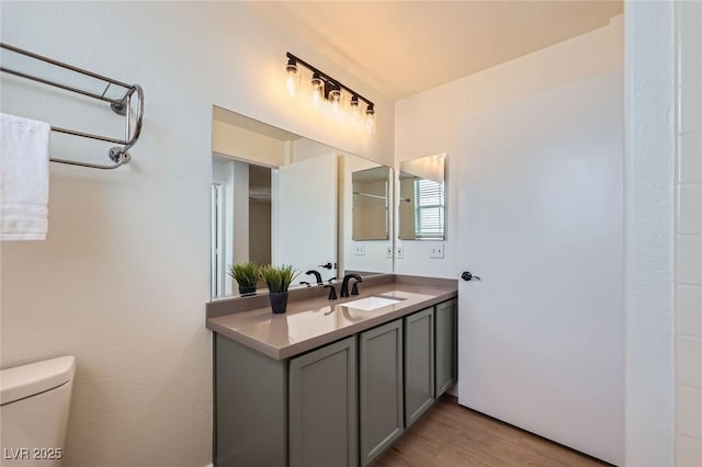 bathroom featuring vanity, toilet, and wood finished floors