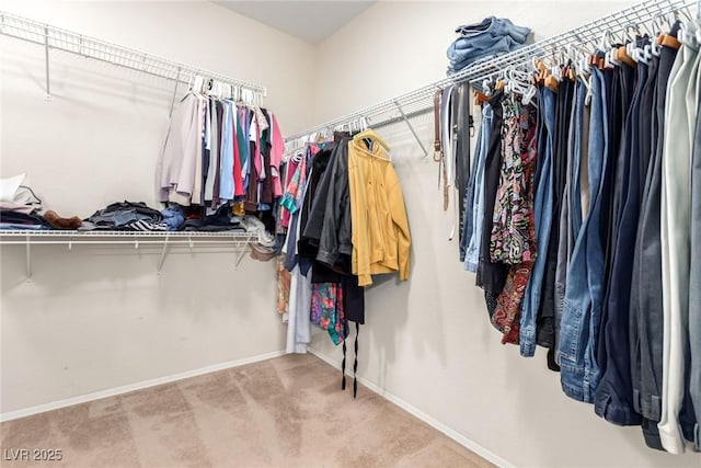 spacious closet featuring carpet flooring