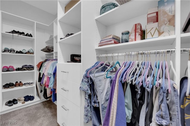 walk in closet featuring carpet flooring