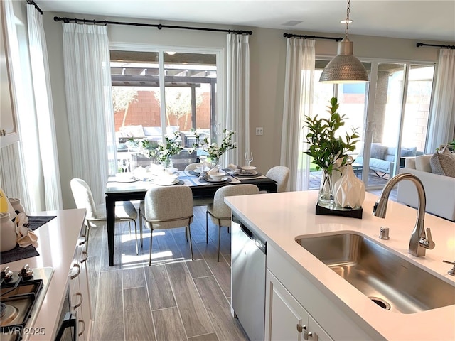 kitchen with wood finish floors, plenty of natural light, appliances with stainless steel finishes, and a sink