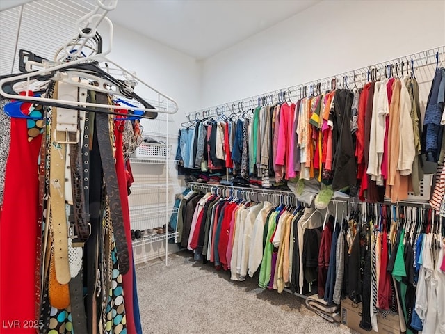 spacious closet with carpet floors