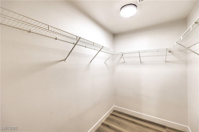 walk in closet with wood finished floors