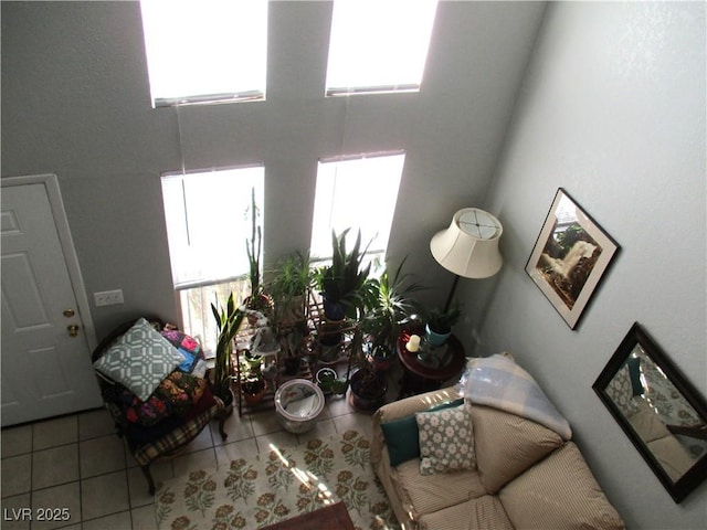 living area featuring tile patterned floors and a healthy amount of sunlight